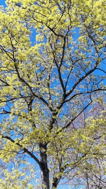 Bild: Peter Weidemann In: Pfarrbriefservice.de 