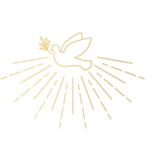 Bild von Instock istockphoto (002).jpg.docx