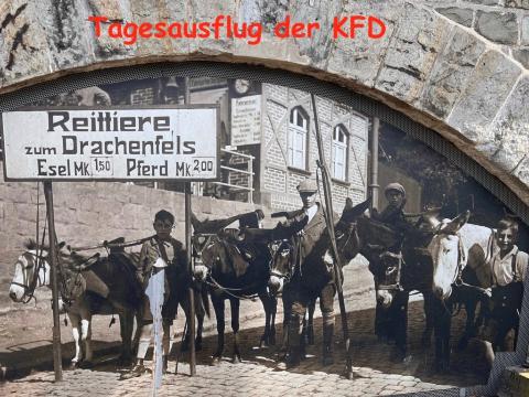 Die Drachenfelsesel in früherer Zeit - Bild unter der Drachenfelsbahn Nähe Schloss Drachenburg