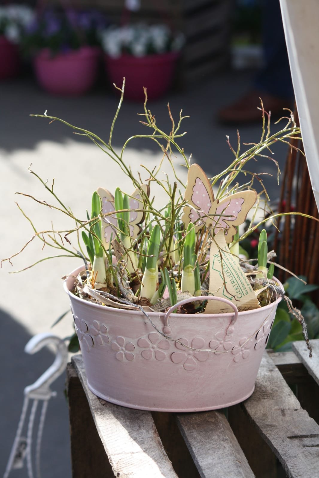 IMG-20190217-WA0008[1] (c) Fr. Raming