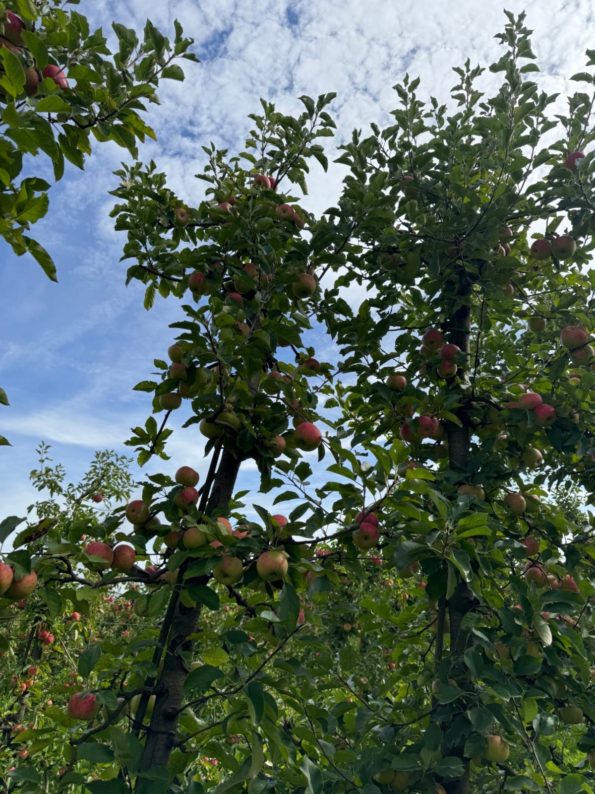 2026 Oktober (c) r.k.