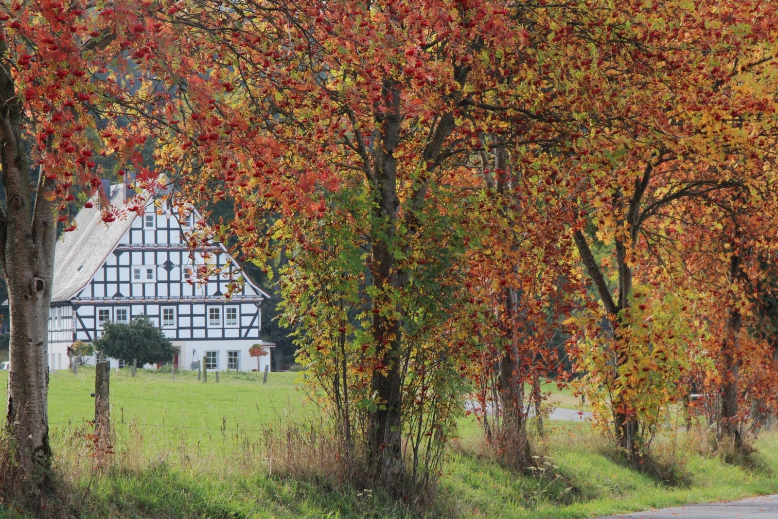 Fachwerkhaus im Herbst (c) Erzbistum Köln / Ganter