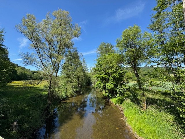 2025 Frühling (c) r.k.
