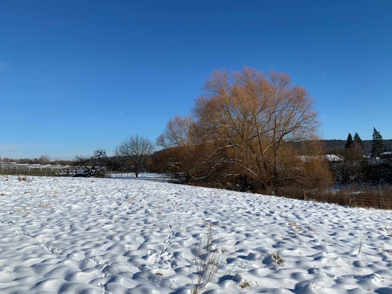 Schnee im Januar (c) r.k.