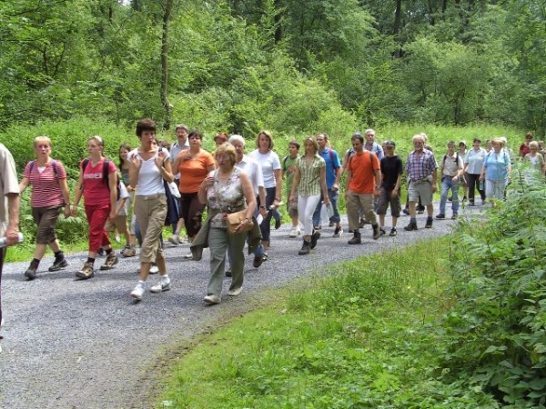 BILD0528