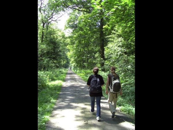 BILD0549