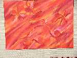 BILD0198