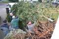 Advent_IMG_2804