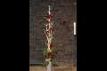 Kirche_IMG_3795