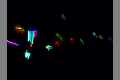 Licht_SDC13769