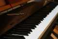 Musik_IMG_4299