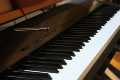 Musik_IMG_4300