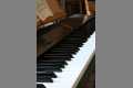 Musik_IMG_4305