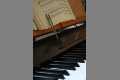 Musik_IMG_4307