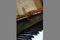Musik_IMG_4309