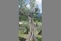 Natur_IMG_0623