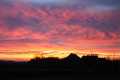 Natur_IMG_0959