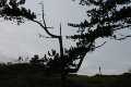 Natur_IMG_0976