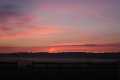 Natur_IMG_1070