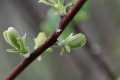 Natur_IMG_1337