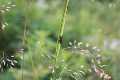 Natur_IMG_5900