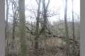 Natur_IMG_6687