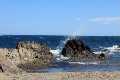 Natur_IMG_7315
