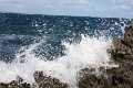 Natur_IMG_7321