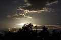 Natur_IMG_7367