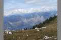 Natur_SDC14339