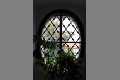 ovalesFenster