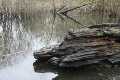 Trauer_IMG_3013