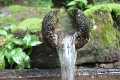 Wasser_IMG_6255