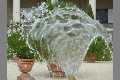 Wasser_P1010954