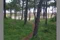 Wege_100_7765