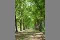 Wege_P1010862