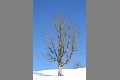 Winter_IMG_0013
