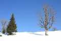 Winter_IMG_0014