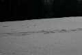 Winter_IMG_0252
