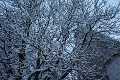 Winter_IMG_8961