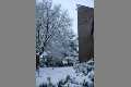 Winter_IMG_8965