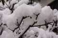 Winter_IMG_8997