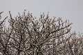 Winter_IMG_8998