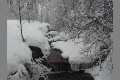Winter_SDC19306