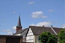 Ballontrauben über Sechtem