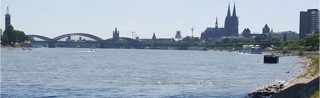 Rheinpanorama