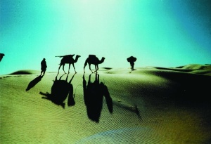 Zelttransport mit Kamel ©SilviaBins