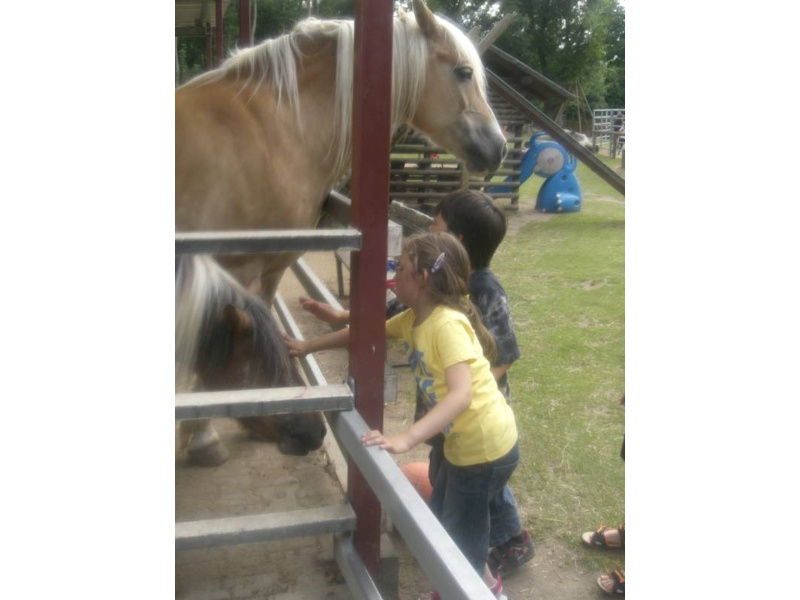 CIMG0568