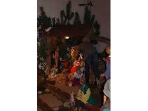 KRIPPE09_38
