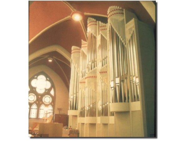 Scan61